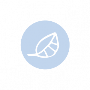 PODCASTY_Obszar roboczy 1 kopia 3